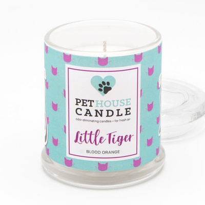 Odor eliminating soy candle Orange - Little Tiger PetHouse