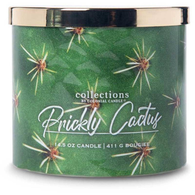 Colonial Candle Desert Collection soja geurkaars in glas 3 lonten 14,5 oz 411 g - Stekelige Cactus