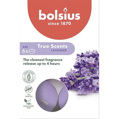 Bolsius True Scents kvapiosios arbatžolės 6 vnt. - Levandų levandos